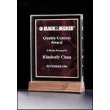 Marble Design Series Ruby Award